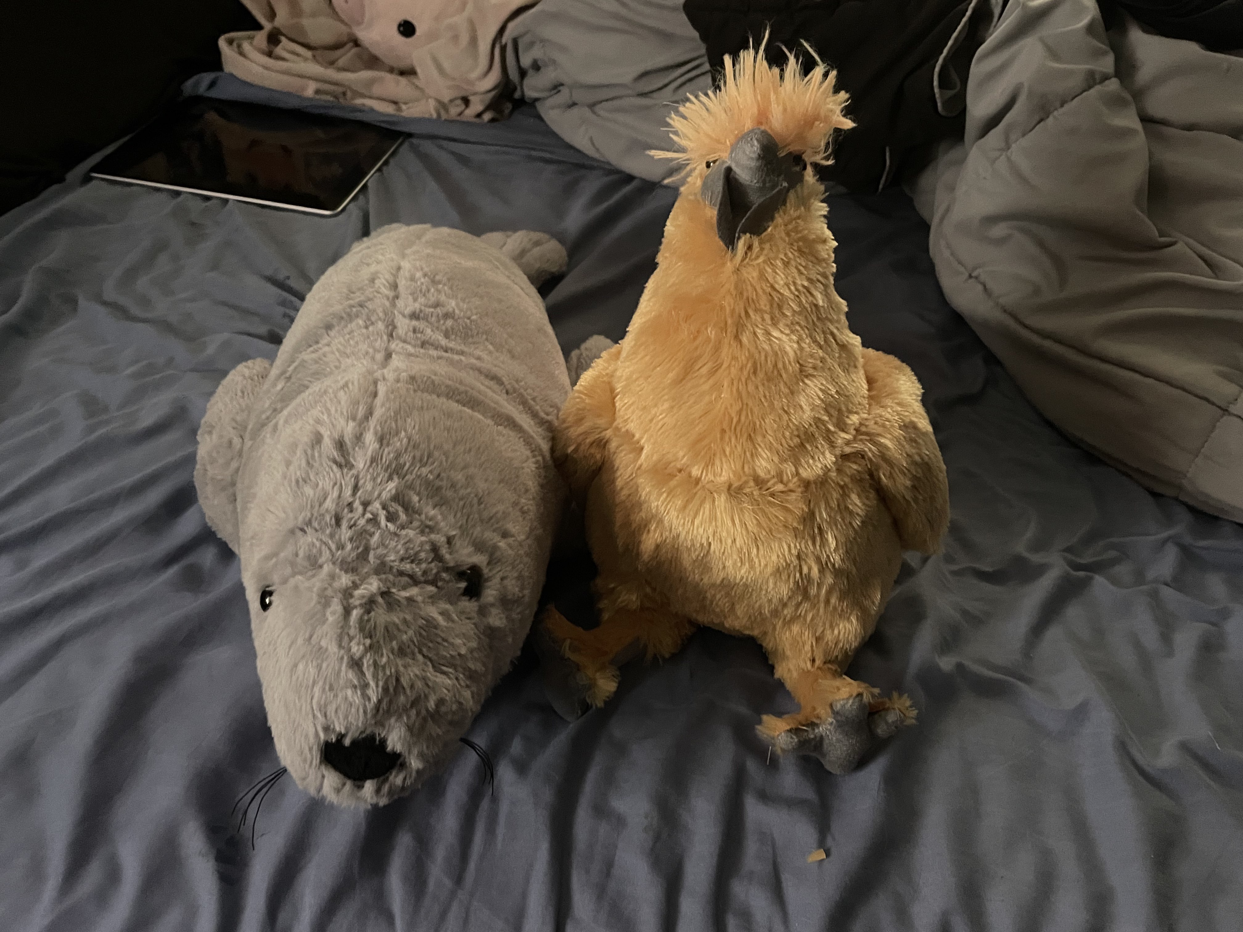 AN IMAGE OF THE TWO PLUSHIES MY MOM GOT FOR ME, A GRAY SEAL THAT'S WEIGHTED AND A BROWN, SILKIE CHICKEN.