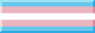 A BUTTON OF THE TRANS FLAG.